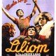 photo du film Liliom