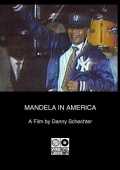 Mandela in America