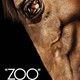 photo du film Zoo, l'appel de la nuit