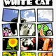 photo du film Chat noir, chat blanc