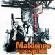 photo du film Maldonne pour un espion