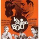 photo du film Le Chien fou