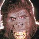 photo du film King Kong