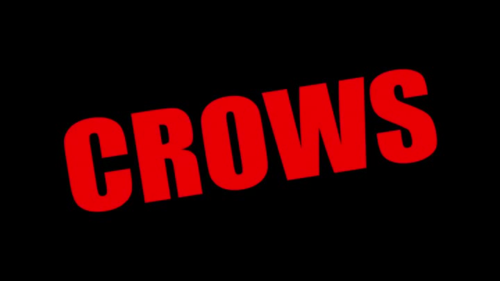 Extrait vidéo du film  Crows Zero