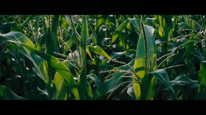 Un extrait du film  Interstellar