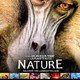 photo du film Nature