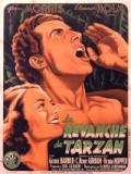 voir la fiche complète du film : La revanche de Tarzan
