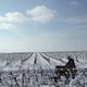 photo du film Vendanges