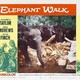 photo du film La Piste des éléphants