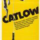 photo du film Catlow