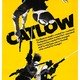 photo du film Catlow