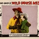 photo du film Wild Horse Mesa