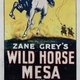 photo du film Wild Horse Mesa