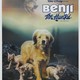 photo du film Benji la malice