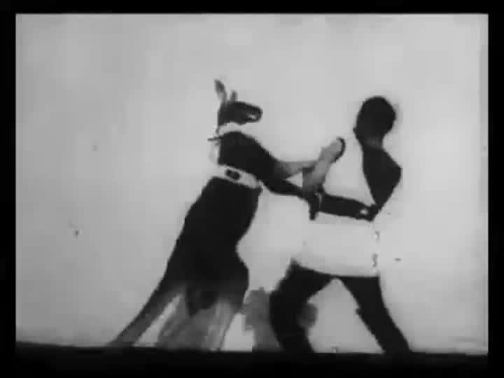 Extrait vidéo du film  The Boxing Kangaroo