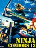 voir la fiche complète du film : Ninjas, Condors 13