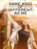 voir la fiche complète du film : Same Kind of Different as Me