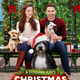 photo du film A Dogwalker's Christmas Tale