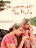 voir la fiche complète du film : Minnaminungu The Firefly