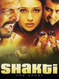voir la fiche complète du film : Shakti : The Power