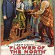 photo du film The Flower of the North