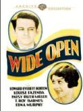 voir la fiche complète du film : Wide Open