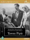 voir la fiche complète du film : The Tawny Pipit