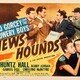 photo du film News Hounds