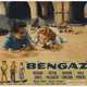 photo du film Bengazi
