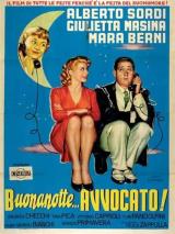voir la fiche complète du film : Buonanotte... avvocato!