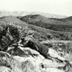 photo du film Cinq fusils à l' ouest