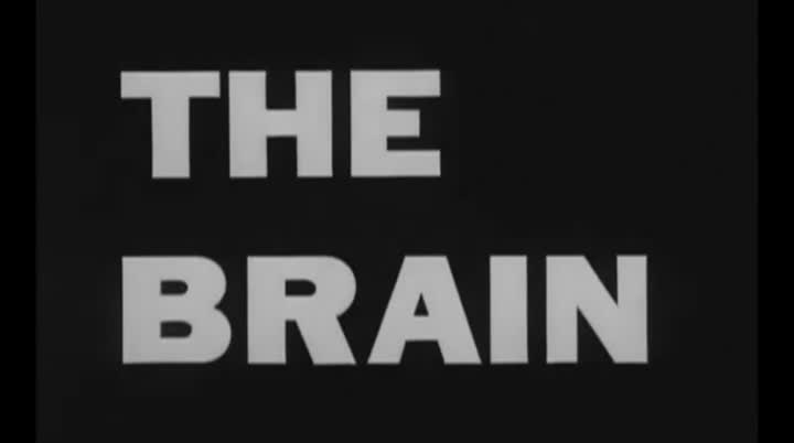 Extrait vidéo du film  Le Cerveau qui ne voulait pas mourir