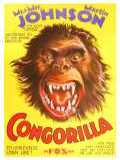 voir la fiche complète du film : Congorilla