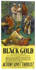voir la fiche complète du film : Black Gold