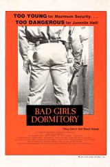 voir la fiche complète du film : Bad Girls Dormitory