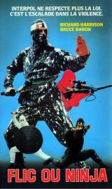 voir la fiche complète du film : Ninja Champion
