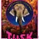 photo du film Tusk