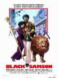 voir la fiche complète du film : Black Samson