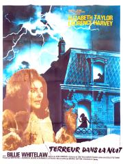 voir la fiche complète du film : Terreur dans la nuit