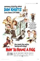 voir la fiche complète du film : How to Frame a Figg