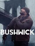 voir la fiche complète du film : Bushwick