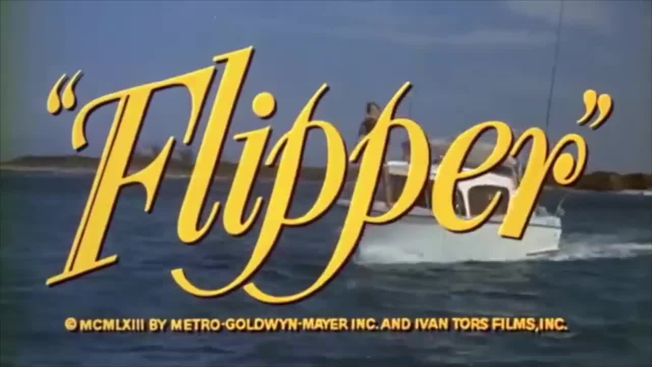 Extrait vidéo du film  Flipper