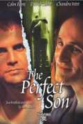 voir la fiche complète du film : The Perfect Son