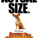 photo du film Le Chihuahua de Beverly Hills