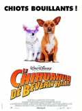 Le Chihuahua de Beverly Hills