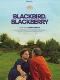 voir la fiche complète du film : Blackbird, Blackberry