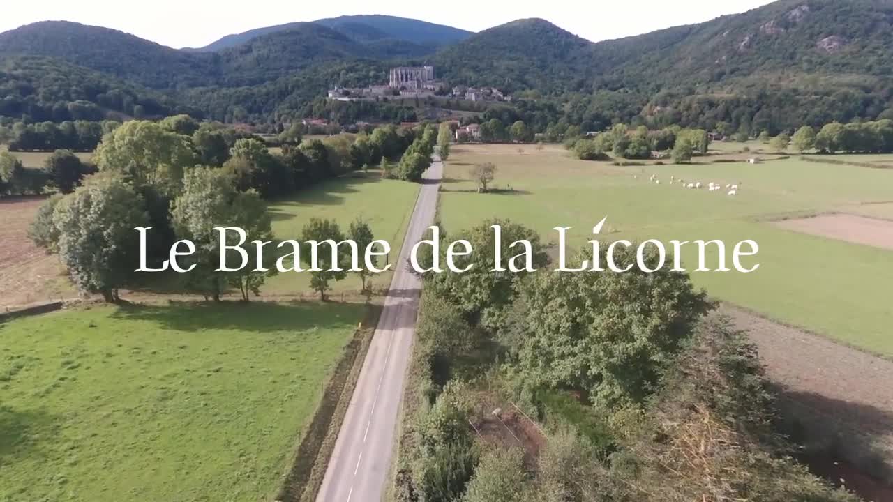 Extrait vidéo du film  Le Brame de la Licorne