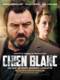 voir la fiche complète du film : Chien blanc