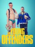 voir la fiche complète du film : The young offenders