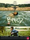 voir la fiche complète du film : Bird